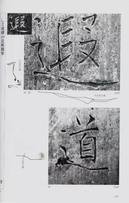 宸ョ瑪鐢绘潹鏅箟鐢诲唽,鏉滈箖鏉ㄦ櫘涔夊畬鏁寸増