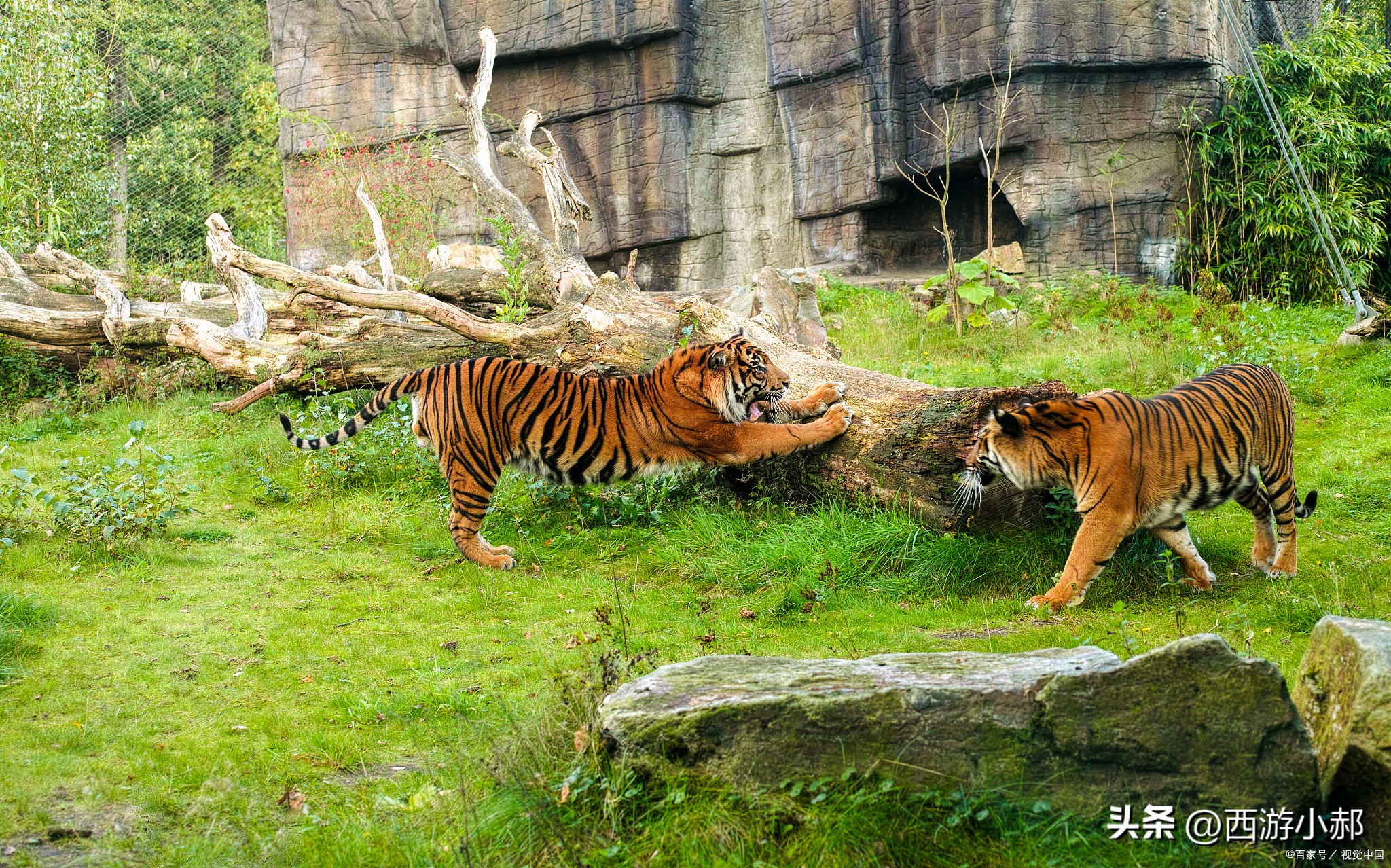 杭州旅游必去十大景点推荐一下,杭州旅游必去的十大旅游景点介绍