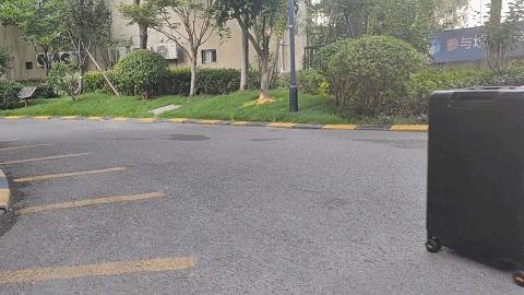 地平线旅行箱测评,地平线8号经典系列行李箱测评