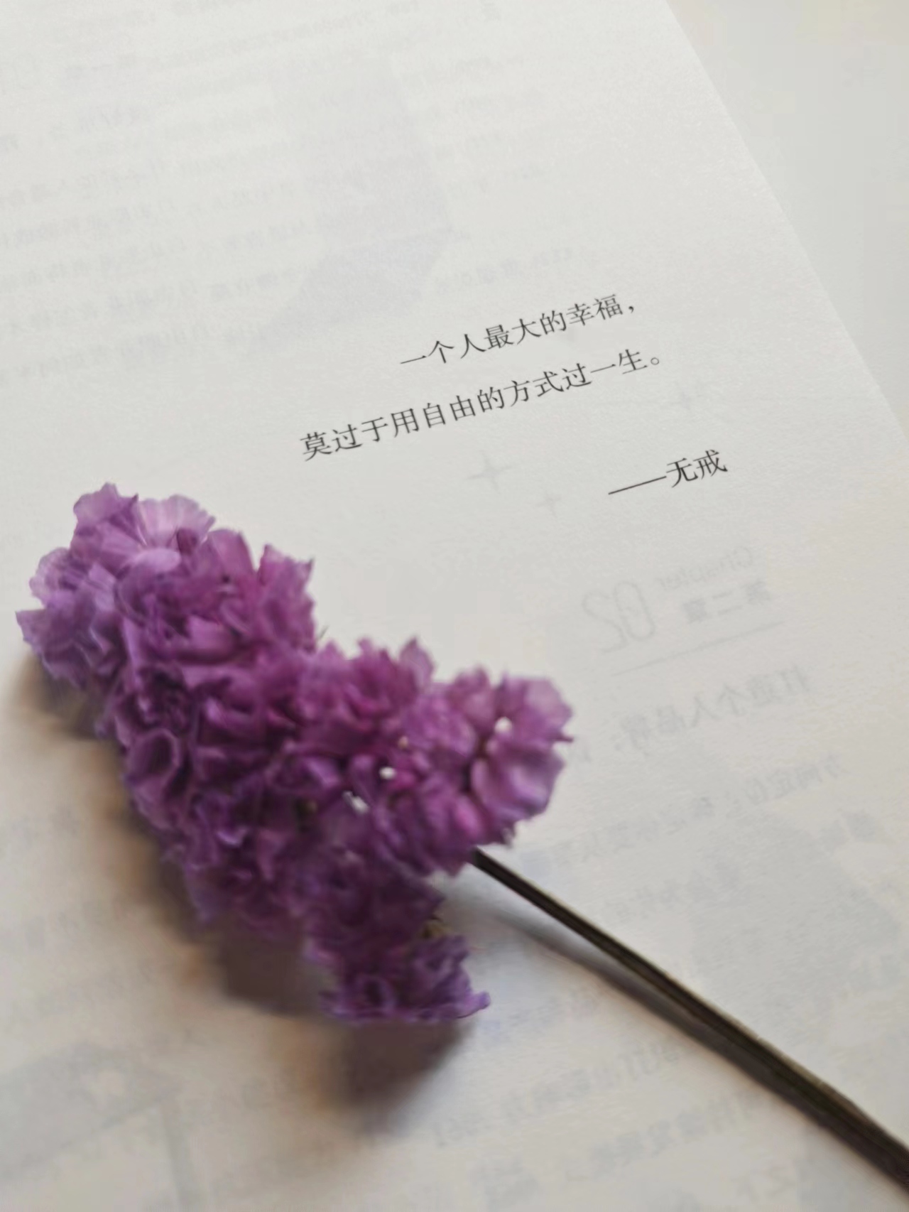 自由职业者规划书,自由职业者生存技巧有哪些