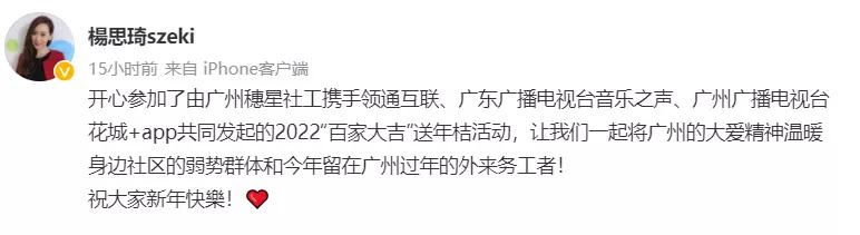 港姐杨思琦一人带俩娃,港姐杨思琦视频