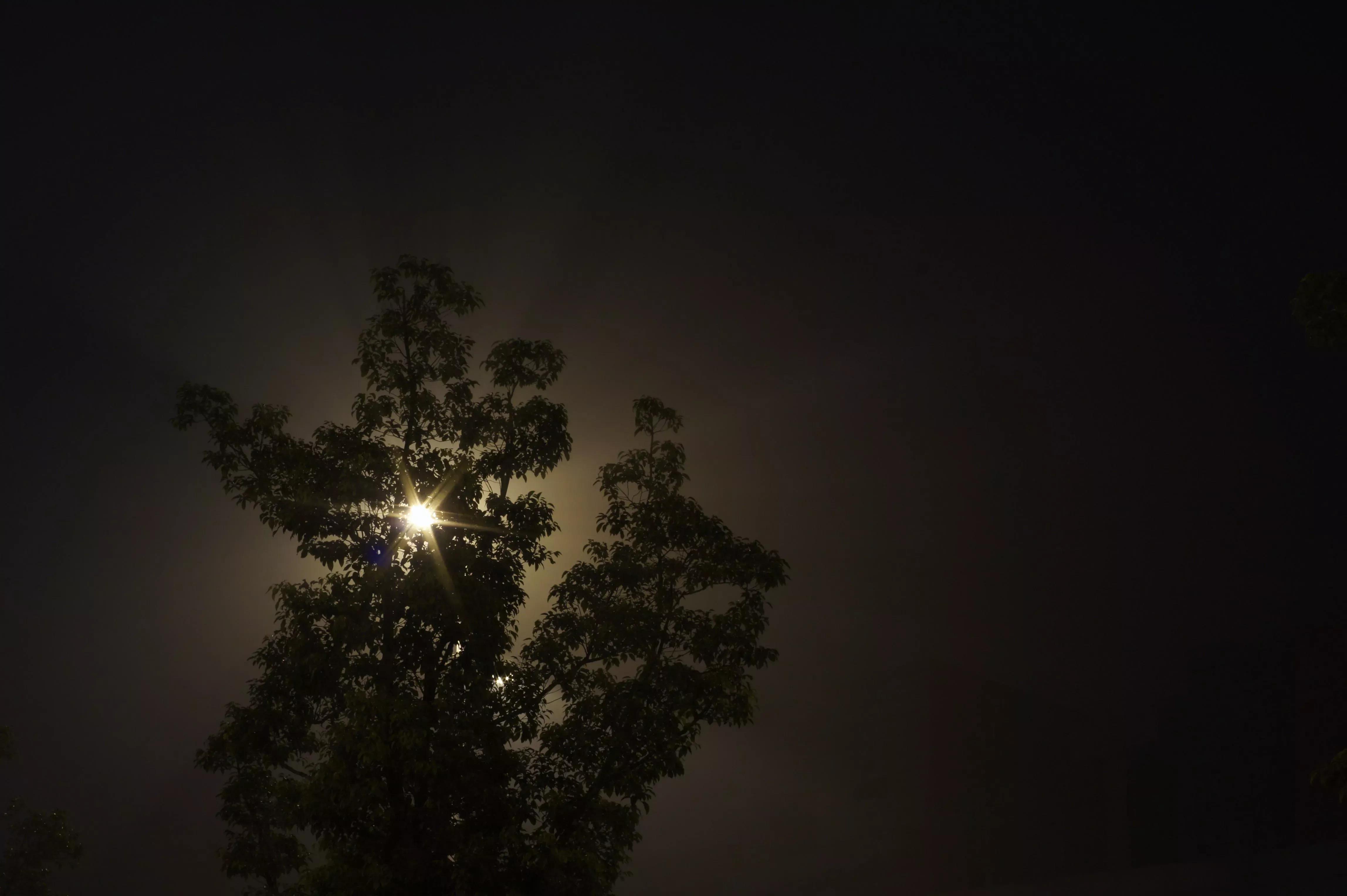 短篇全文完整小说,短篇小说完整版一口气看完