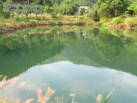 2022年上海初中一模物理卷,物理一模山东讲评