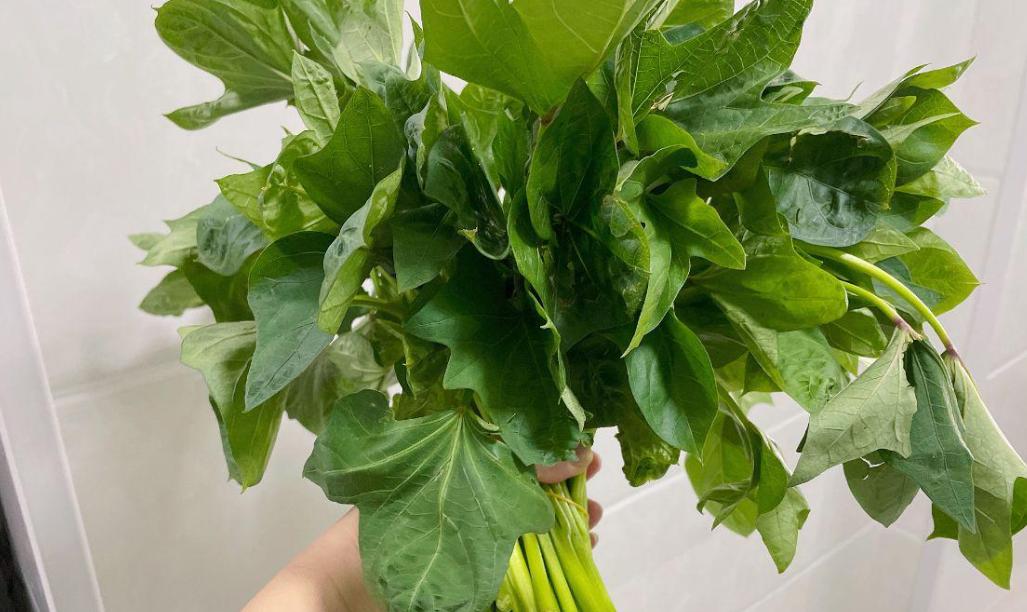 营养专家推荐十种营养丰富的蔬菜,六种被称为营养全能王的蔬菜