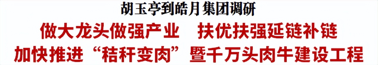 胡玉亭到皓月集团调研