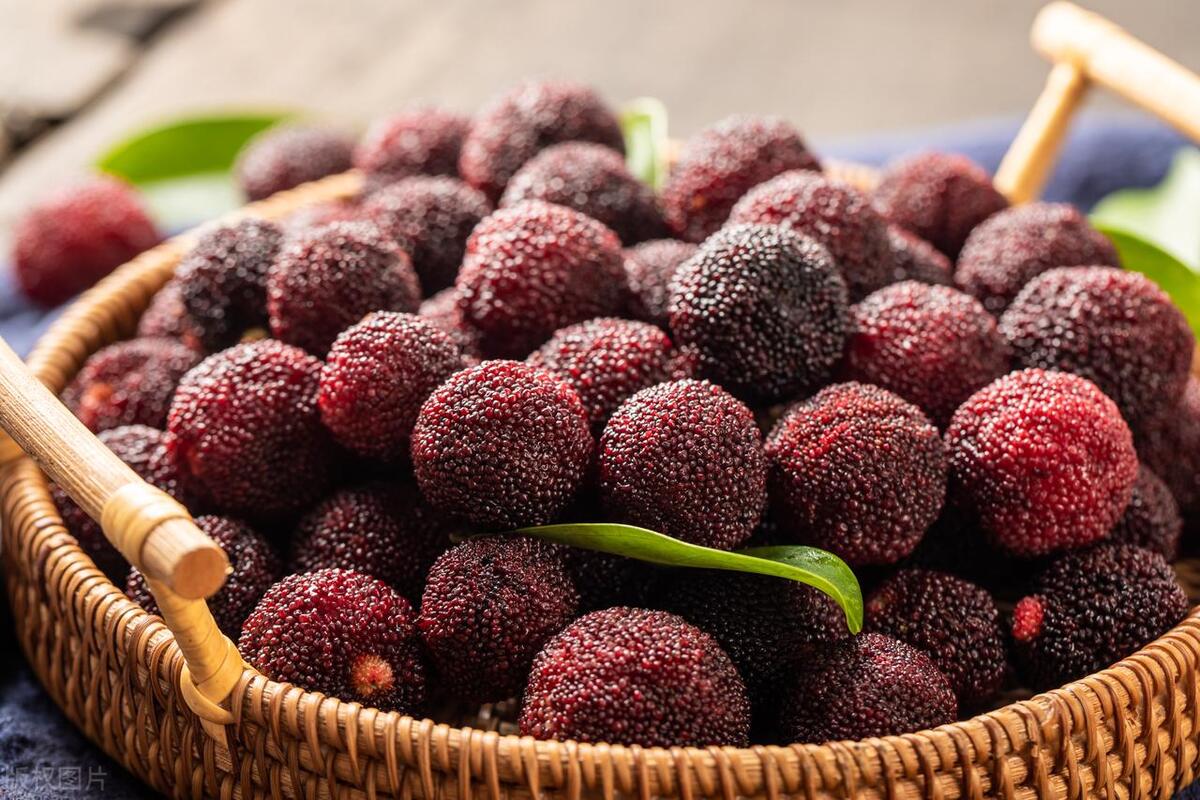 与人相处真正聪明的人不说三句话,聪明人哪三件事不和别人说