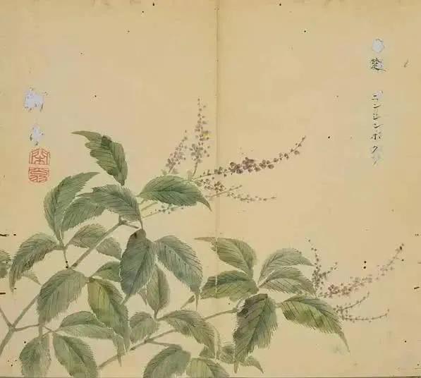 诗经陈风月出原文赏析,诗经陈风月出正确读音