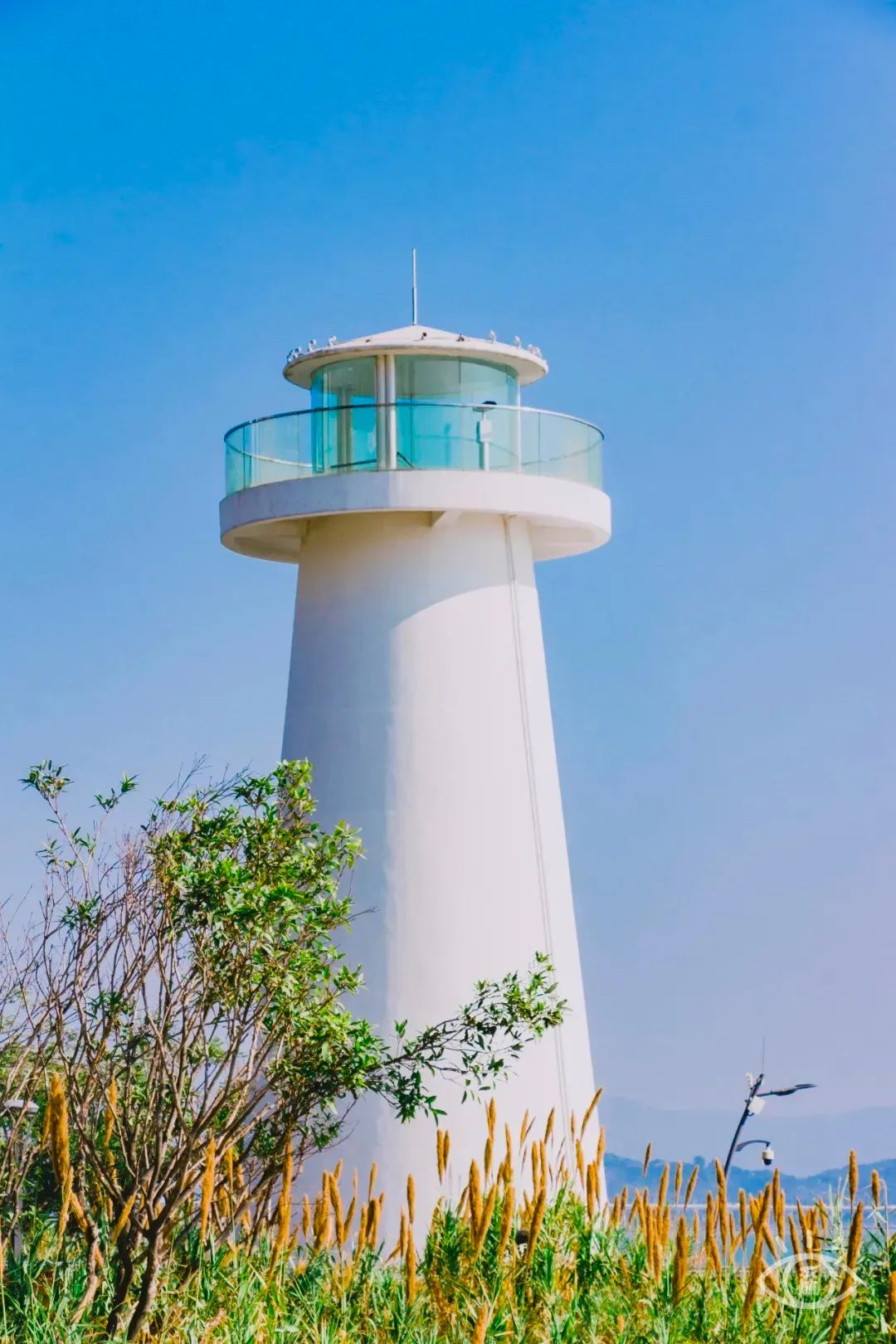 深圳小众好玩的景点排名榜,深圳小众海边旅游
