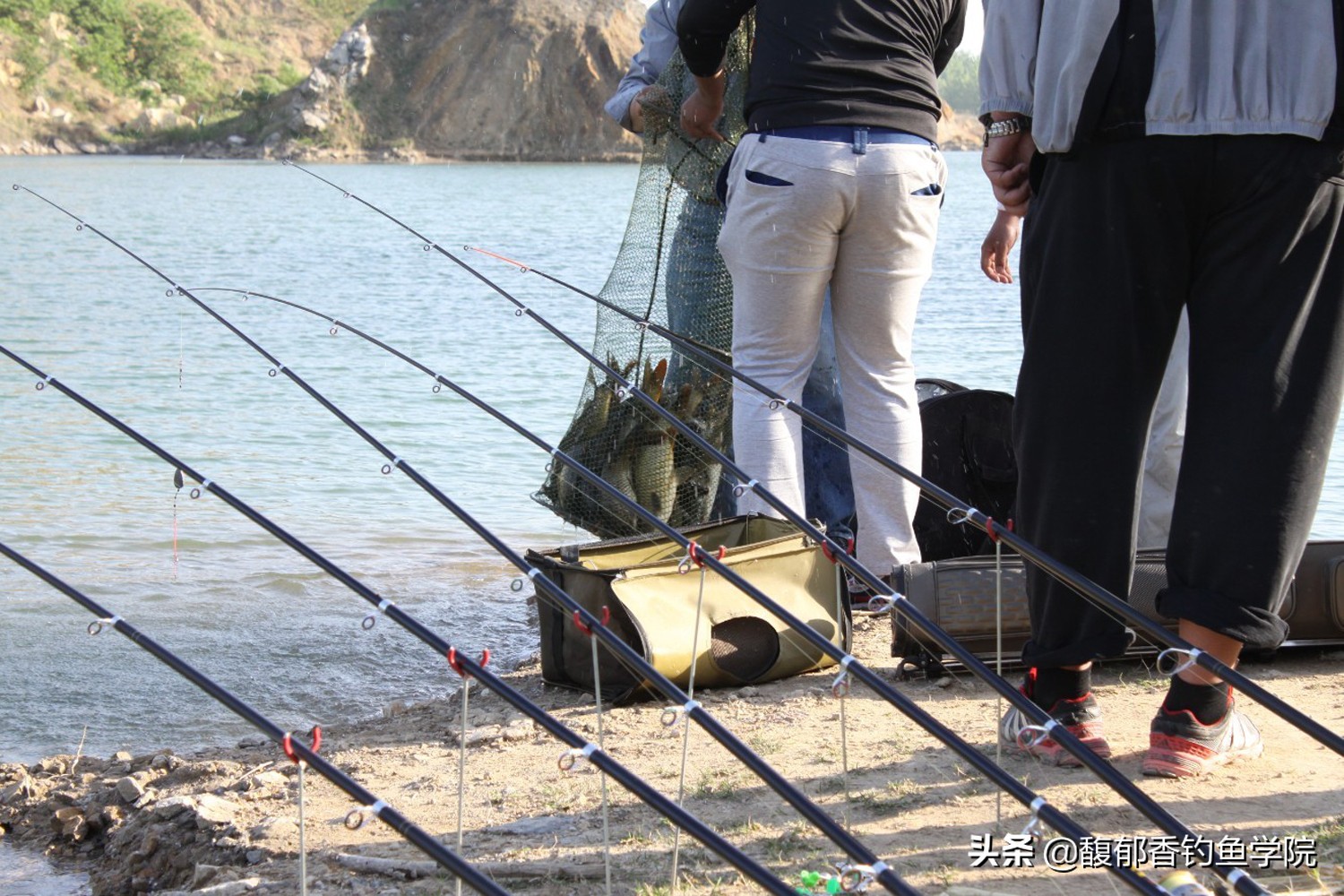 海竿方块饵怎么钓草鱼,野钓海竿钩饵技巧