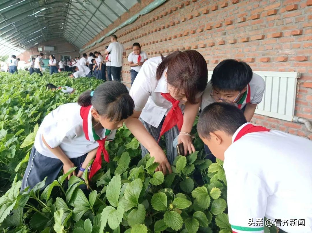 碾子山区教育,让山村娃娃享受公平的教育