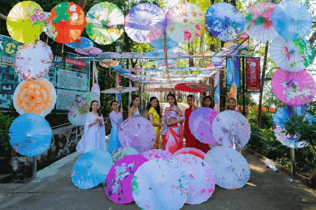 香草伊甸园景区最佳花开期,转发此文