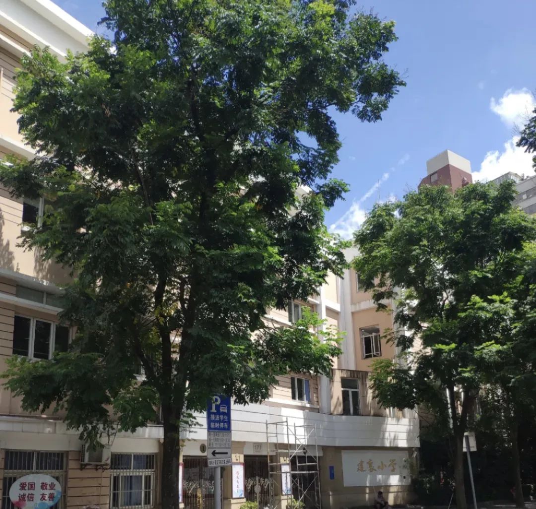 徐汇区建襄小学,徐汇建襄小学好吗