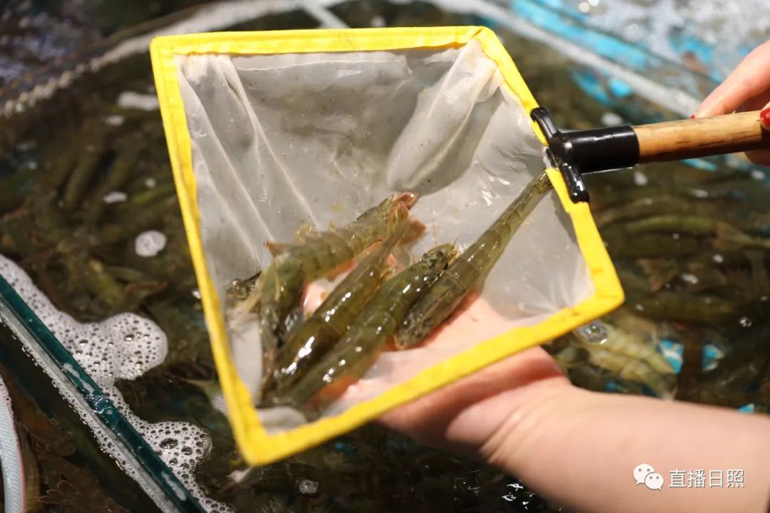 封海倒计时威海海鲜涨价了吗,封海前后海鲜价格对比