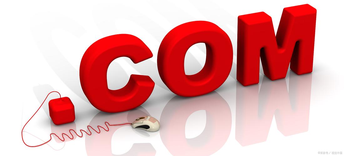 电脑的域名和ip地址在哪里看,域名服务器地址和ip地址的区别