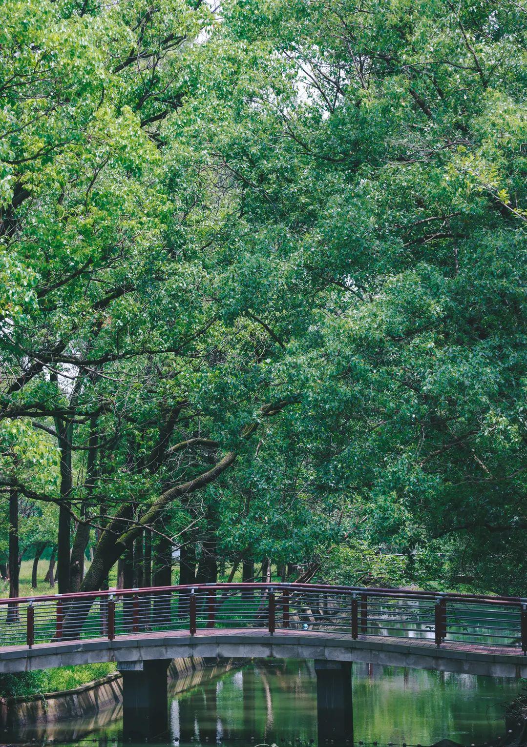 藏不住了！苏州四大宝藏公园，好拍又好玩