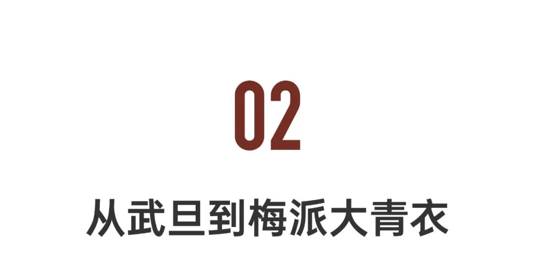 史依弘最好的模样,史依弘纪录片