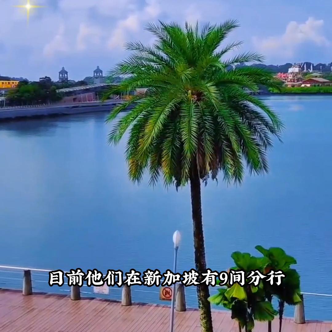 新加坡看病价格表,在新加坡看病要花多少钱