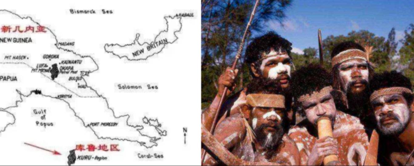 朊病毒致死率100%!无药可救烹煮杀不死，感染后到底有多恐怖？