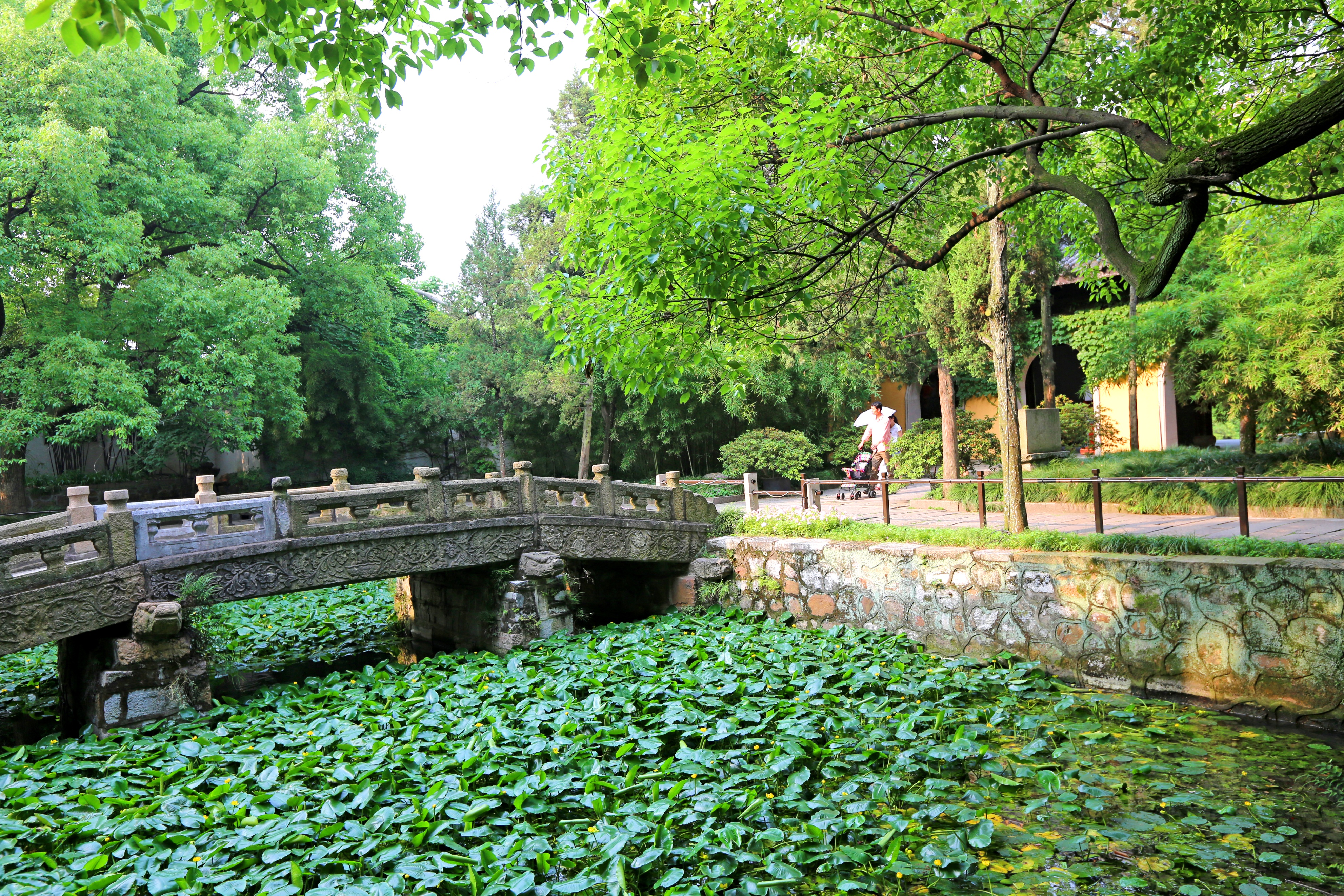 无锡十大最美古镇景点排名榜,无锡江南水乡旅游攻略