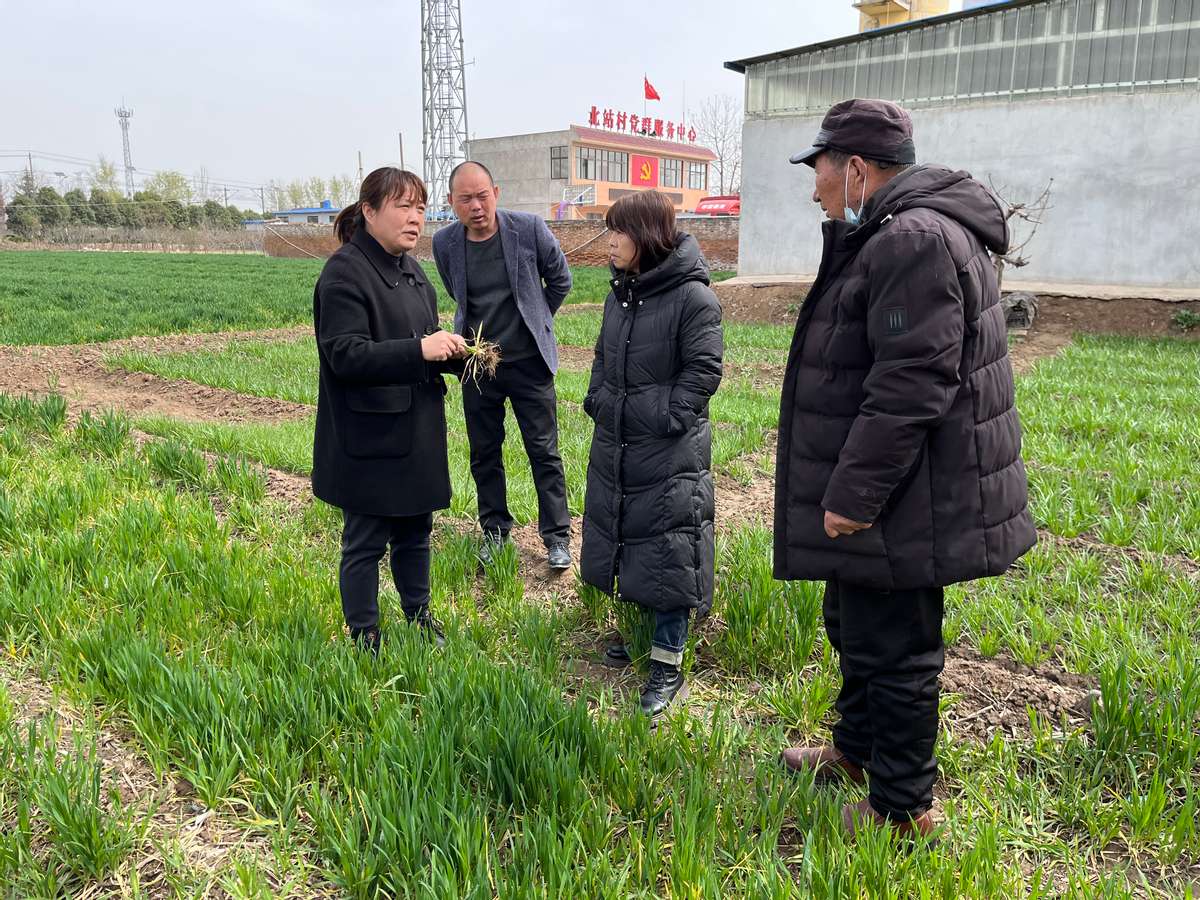 椹绘潙甯壎鐩墠宸ヤ綔閲嶇偣,2022涔¢晣椹绘潙甯壎宸ヤ綔鍗婂勾鎬荤粨