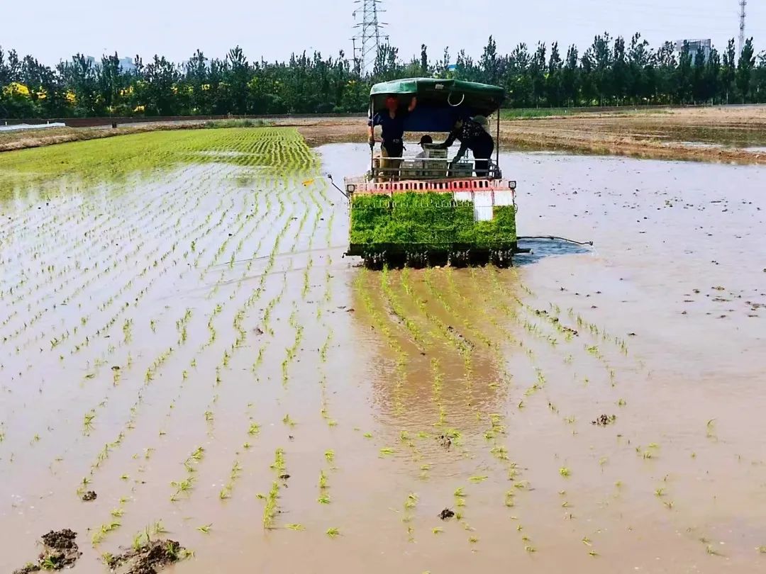 想知道致富密码？走，来这个镇看看～