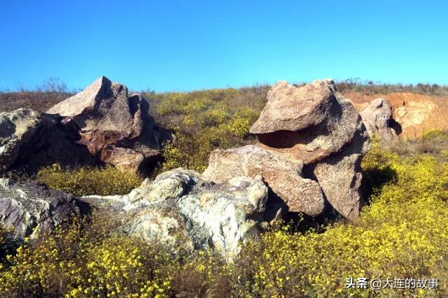 大连金普新区石槽村的那片玫瑰石，你去看过吗？