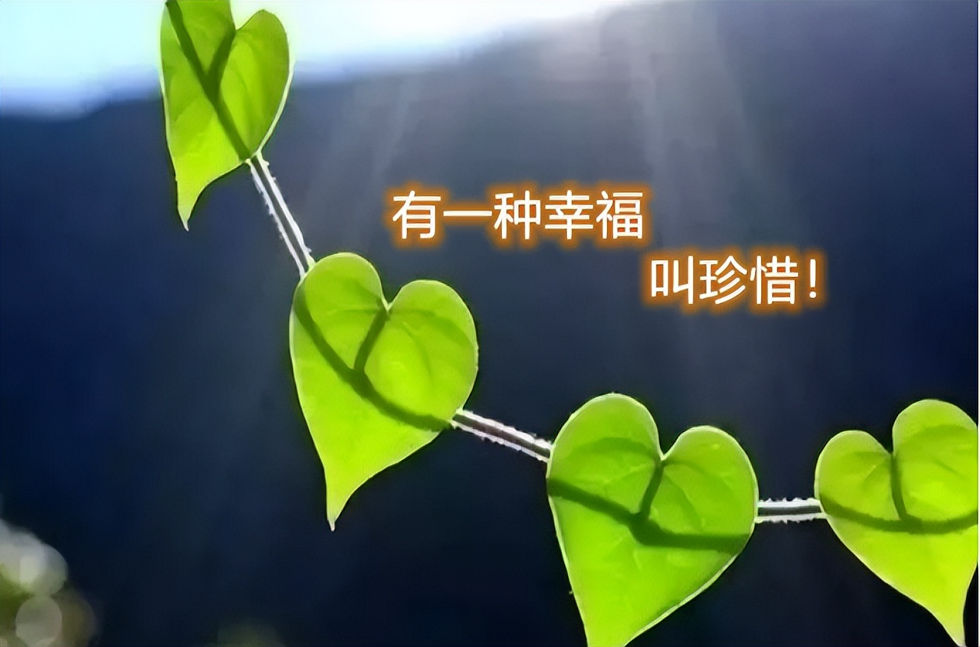 独身生活难道错了？一张无人签字的手术单，让她惊觉自己真的老了