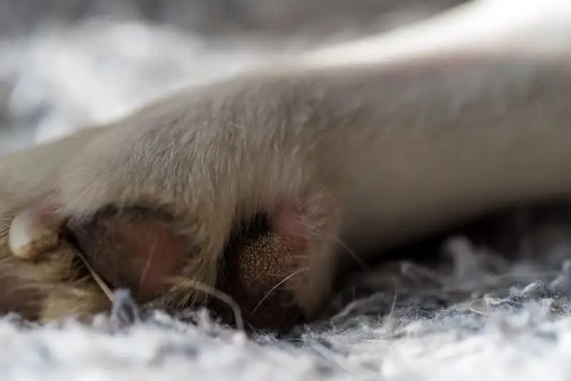 宾得新款16-50评测,宾得镜头18-135样片测评