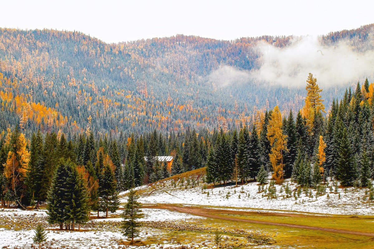 11月份去哪里玩最好玩呢,十一月份秋天适合去哪旅游国内