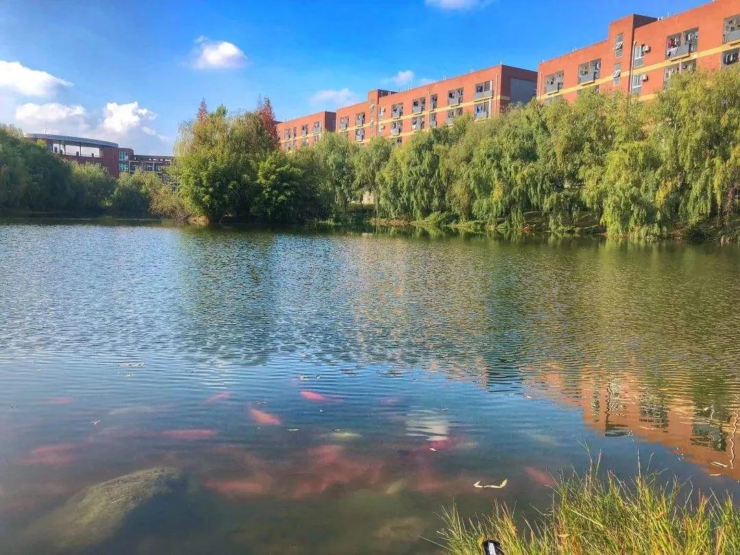 西南财经大学天府学院什么专业好,西南财经大学天府学院是什么档次