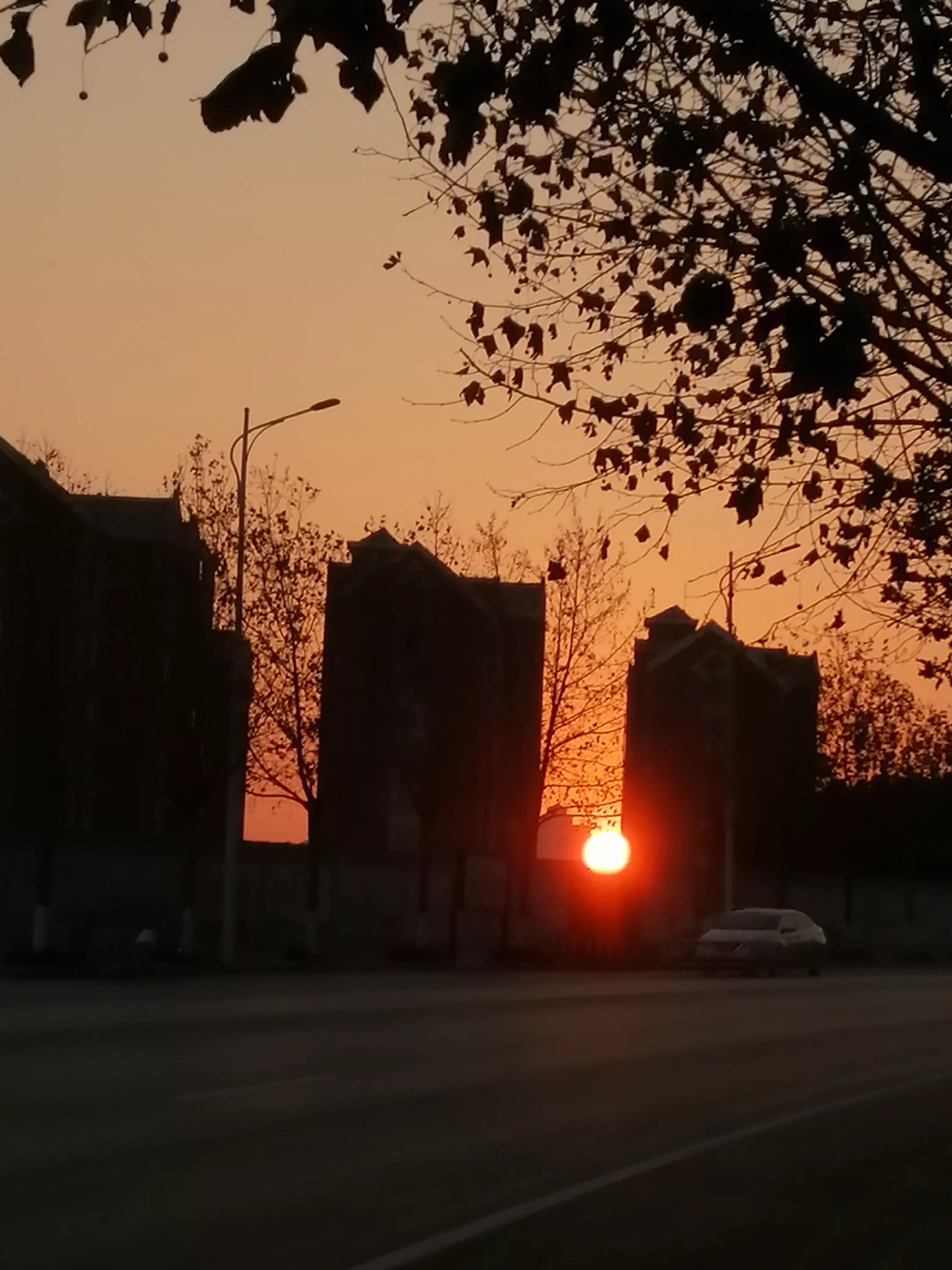 入学前入学后变化,上学前后的对话