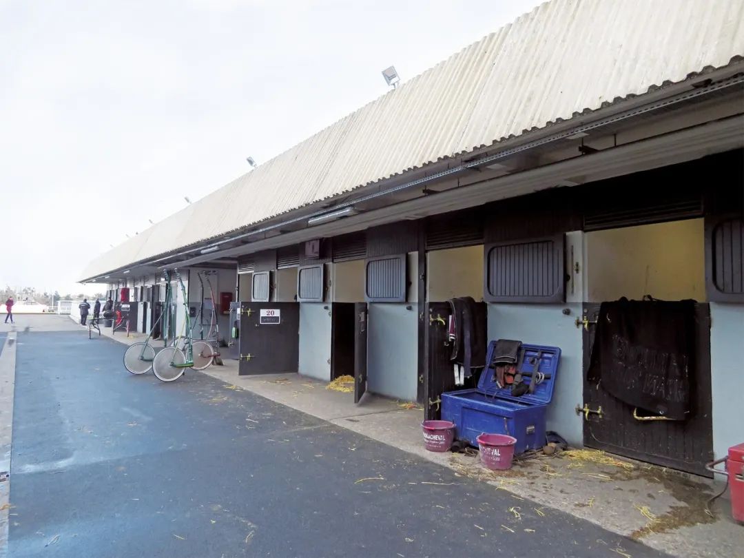 马迷与股民在虚构的世界里莫名亢奋