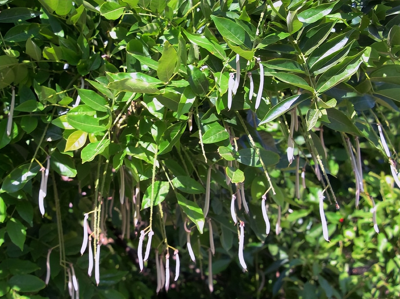 体检·小酌·途中·公园·侄女·其它