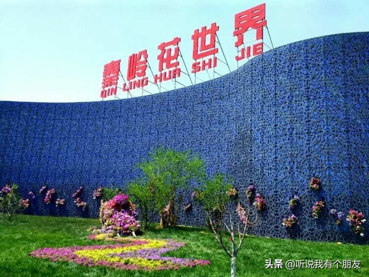 西安最好玩最大的花市,西安最美花市