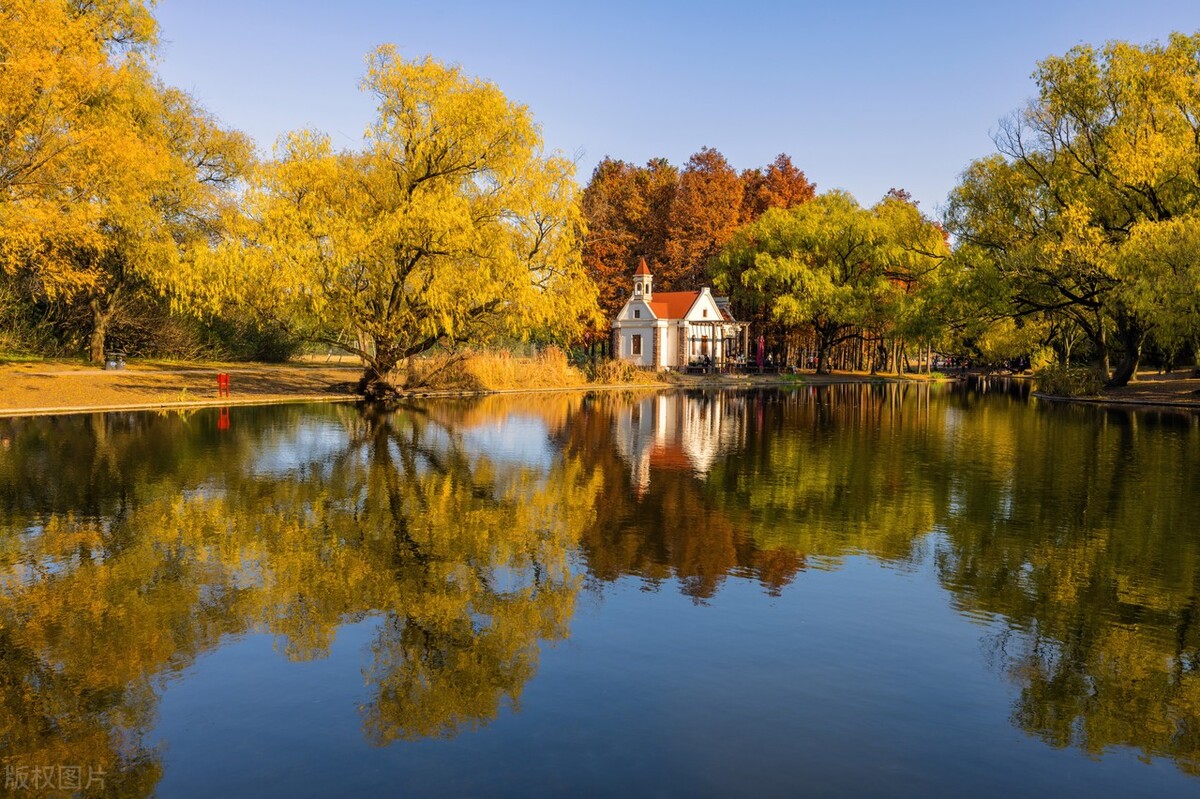 上海最新免费游玩景点推荐,上海旅游必去的五个免费景点