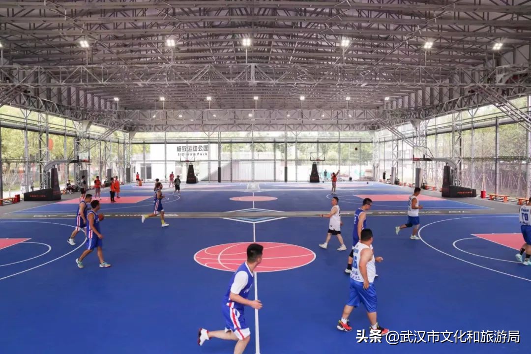 焕新乐园未来5年规划,湿地公园改造前后对比