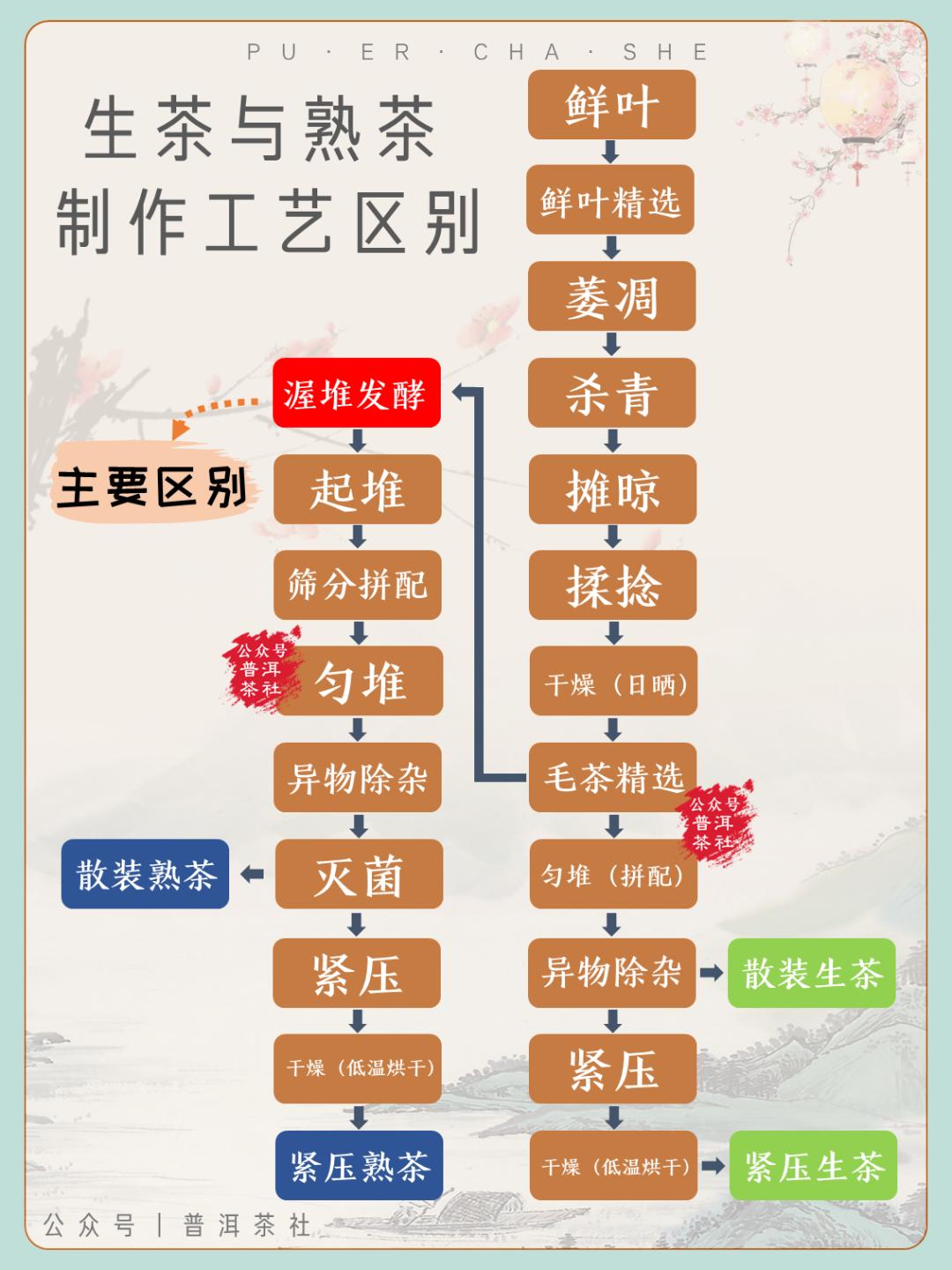 正宗的云南普洱茶是什么样的,真正的云南普洱茶是什么样