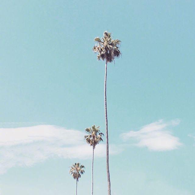 林徽因感叹人生的经典句子,感叹人生无奈心酸的句子朋友圈