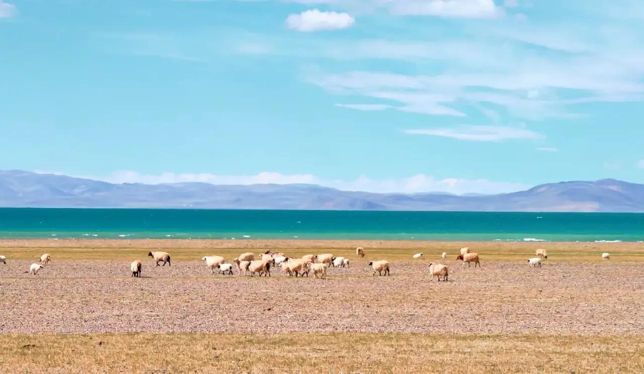 你准备好了去*藏西**吗？我有几项抗高反的建议，希望对你有帮助