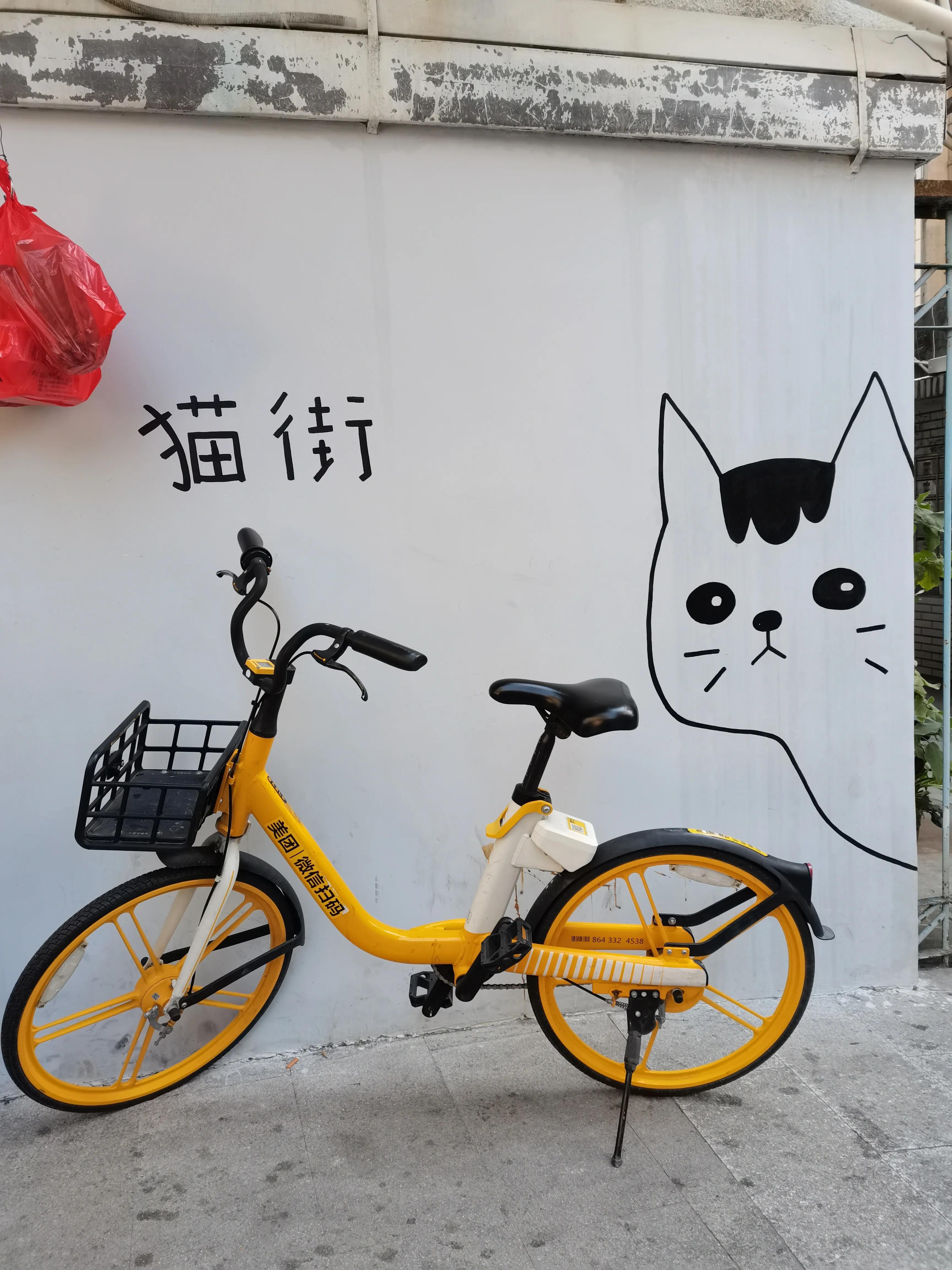 厦门沙坡尾猫街旅游攻略,厦门旅游十大必去景点猫街