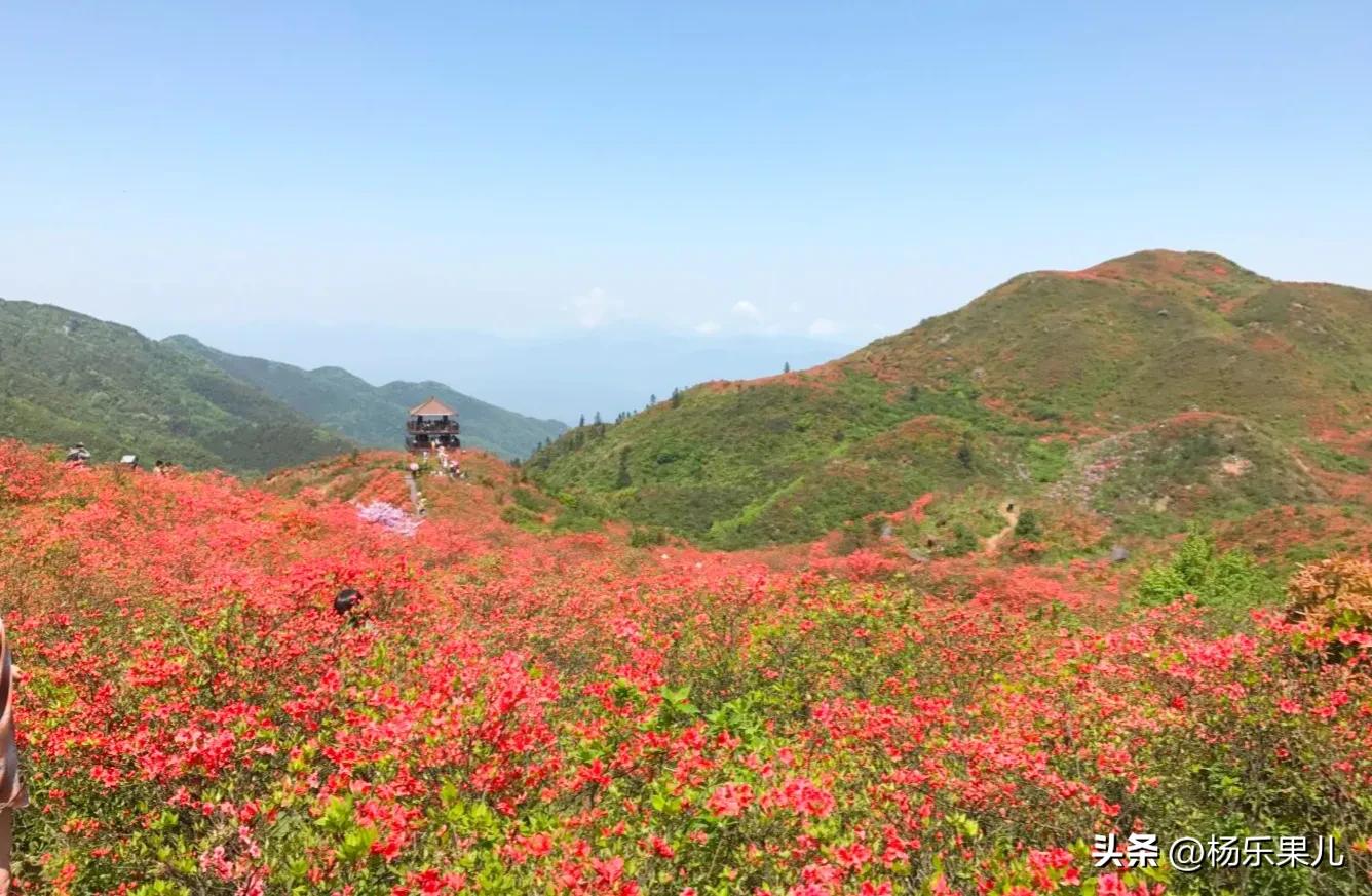 湖南长沙最有名的风景区域,湖南长沙有什么风景点