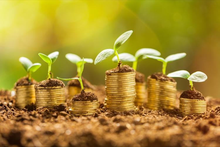 纳瓦尔宝典和穷查理宝典共同点,纳瓦尔穷查理