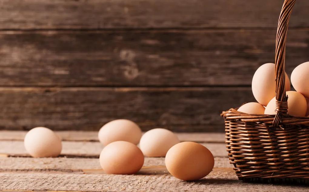 童育妈妈：别再被骗了，这些食物哺乳期都可以吃