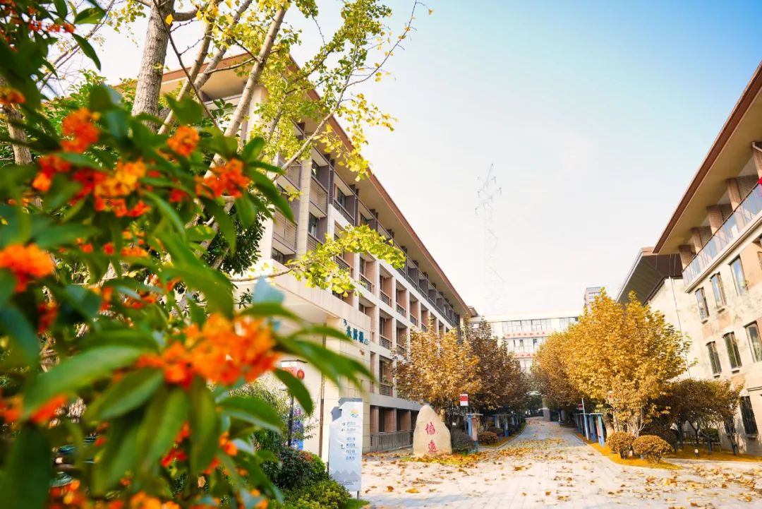 南京燕子矶中学特色,南京燕子矶中学在南京市排名