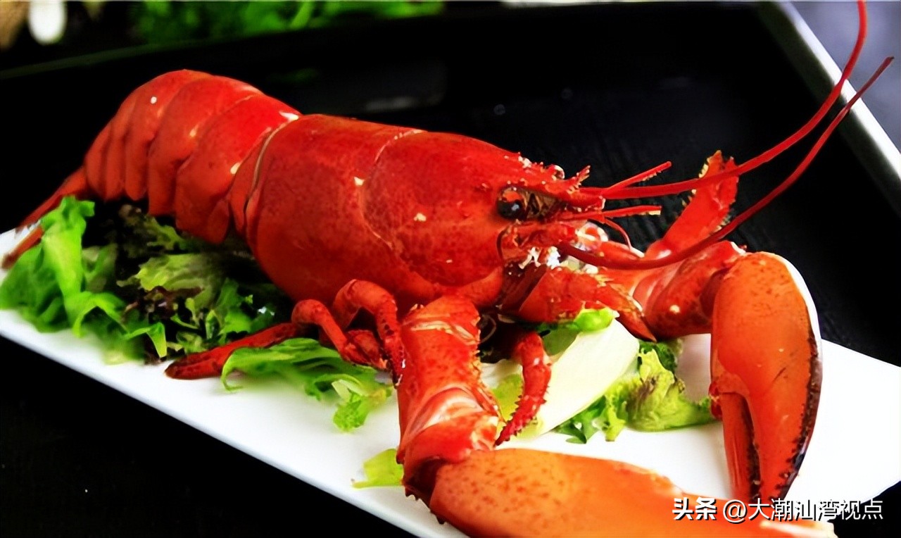 世界上各种龙虾视频介绍,世界各种龙虾价格