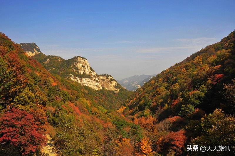 河南景点森林氧吧,河南五地入选中国天然氧吧