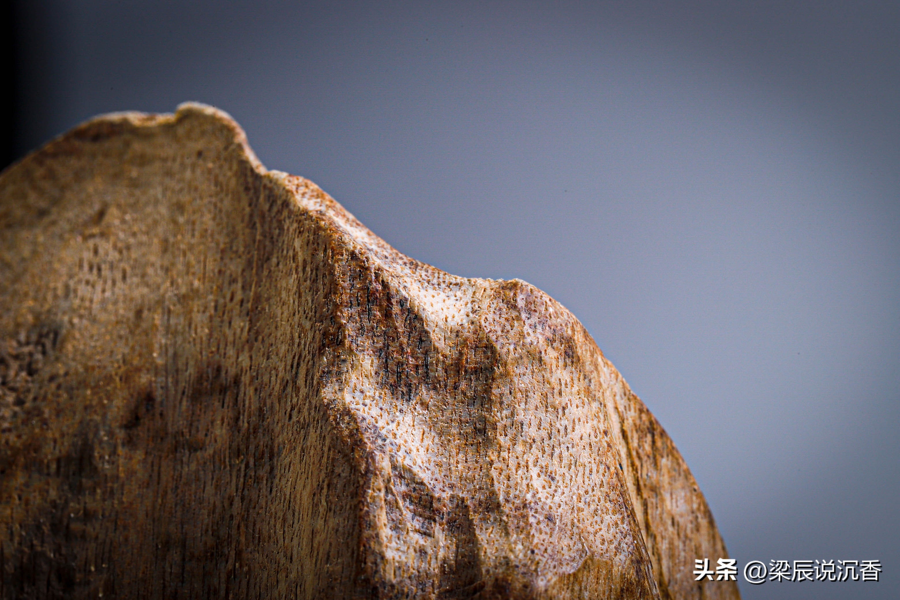 如何正确品沉香,沉香结缘的秘密