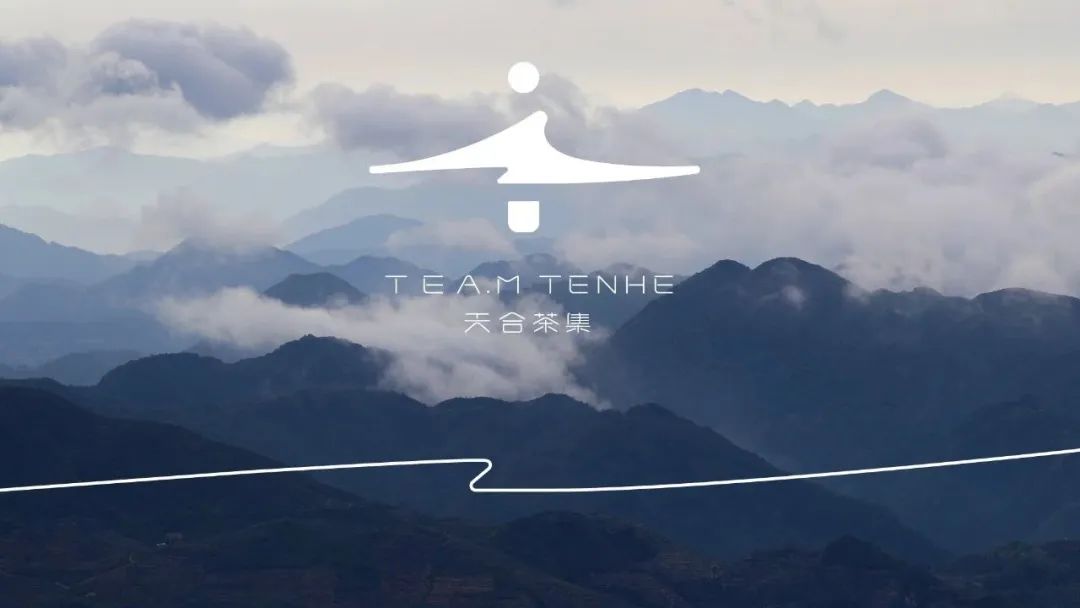 “千万级”渠道资源型合伙人平台—天合茶集开创茶叶流通4.0时代