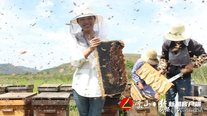 90后夫妻的创业之路视频,酿出甜蜜致富路