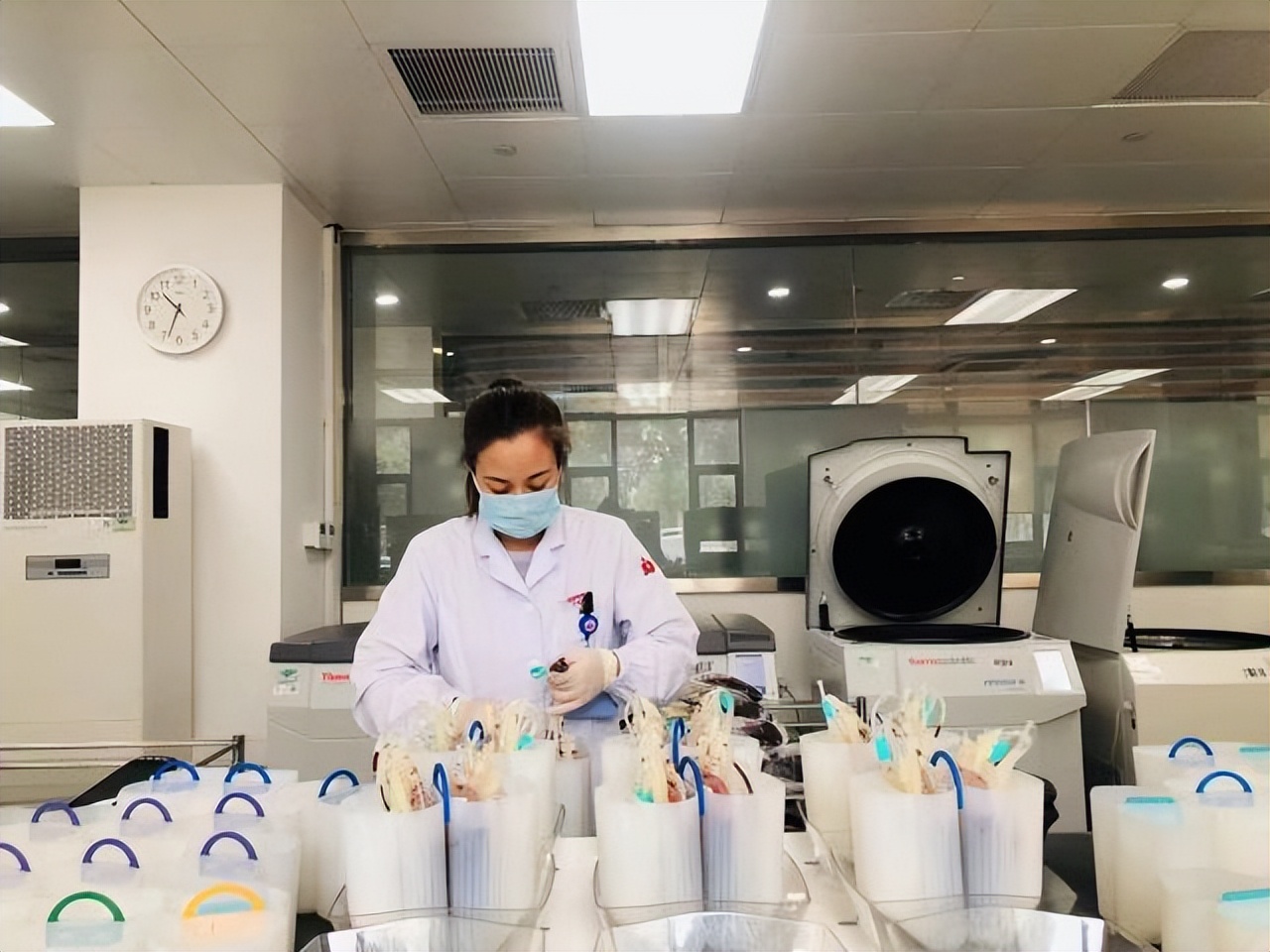 罕见血型p型,万分之一的罕见基因病